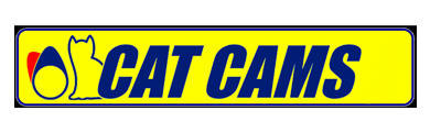 catcams-0ceaa44c50c84c022-390-120-2-95-1.jpg