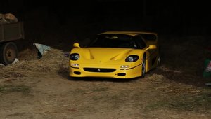 Ferrari F50 Show