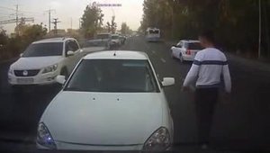 In Rusia sunt bizoni in trafic mai ceva ca in Romania