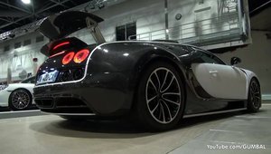 Mansory Vivere: Asa arata si suna un Bugatti Veyron modificat, de 2.5 milioane euro
