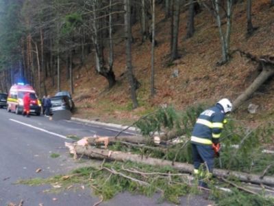 FOTO - Ghinion pe șosea: Un copac...