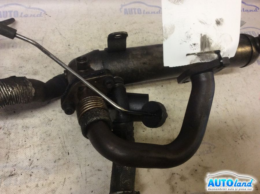 0381313521r Conducta EGR Volkswagen PASSAT 3C2 2005