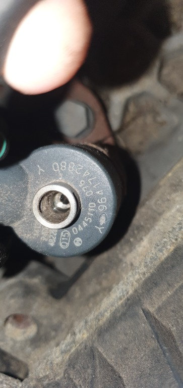 0445110076 Injector Citroen Xsara Hatchback 2.0 HDI RHZ