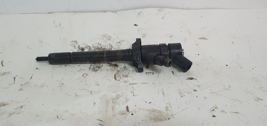 0445110136 Injector Citroen Xara Picasso 1.6 HDI