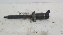 0445110239 Injector Citroen C3 1.6 HDI