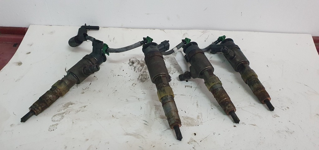 0445110339 Injector Ford Fiesta 1.4 TDCI