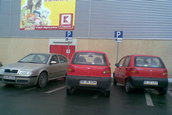 12BOGdan
