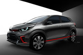 2017 Kia Picanto