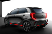 2017 Kia Picanto
