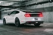 2018 Ford Mustang RTR