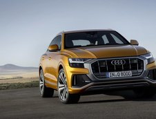 2019 Audi Q8