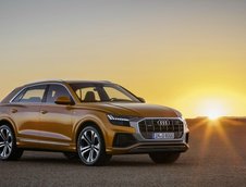 2019 Audi Q8