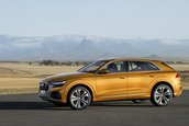 2019 Audi Q8