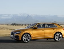 2019 Audi Q8