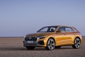 2019 Audi Q8