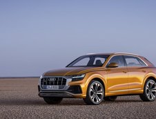 2019 Audi Q8