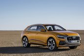 2019 Audi Q8