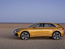 2019 Audi Q8