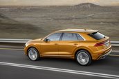 2019 Audi Q8