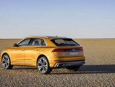 2019 Audi Q8