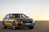 2019 Audi Q8