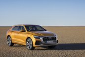 2019 Audi Q8