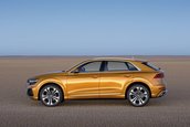 2019 Audi Q8