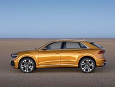 2019 Audi Q8