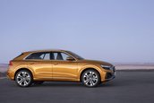 2019 Audi Q8