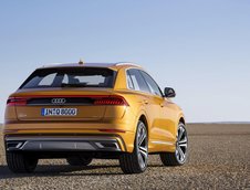 2019 Audi Q8