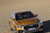 2019 Audi Q8