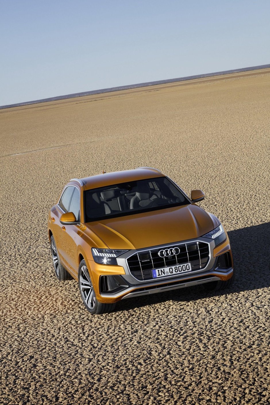 2019 Audi Q8