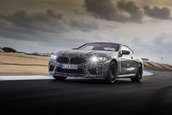 2019 BMW M8