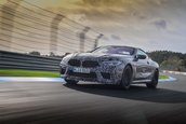 2019 BMW M8