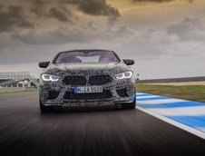 2019 BMW M8