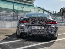 2019 BMW M8