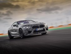 2019 BMW M8