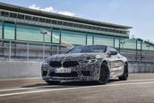 2019 BMW M8