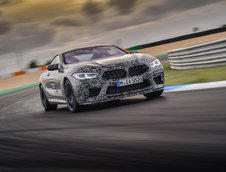 2019 BMW M8