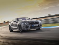 2019 BMW M8