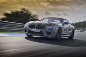 2019 BMW M8