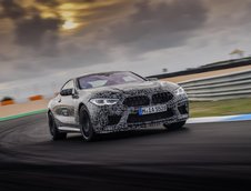 2019 BMW M8