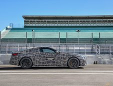 2019 BMW M8