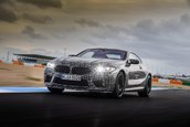 2019 BMW M8