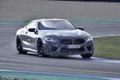 2019 BMW M8