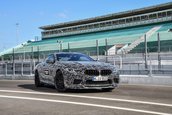 2019 BMW M8