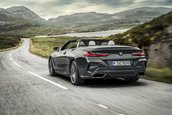 2019 BMW Seria 8 Convertible