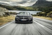 2019 BMW Seria 8 Convertible