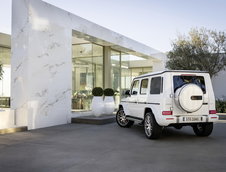 2019 Mercedes-AMG G63