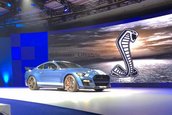 2019 Shelby GT500